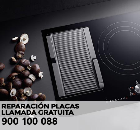 Reparación averías placa de cocción Ecron